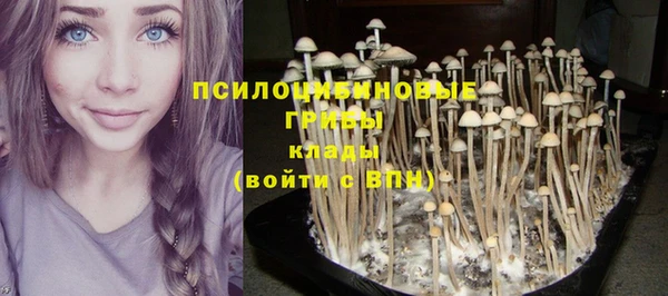 ешки Абинск